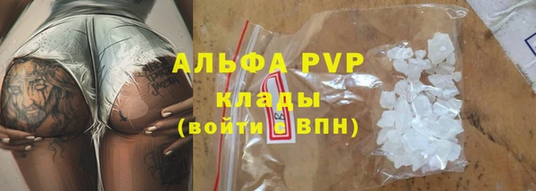 прущие грибы Осинники