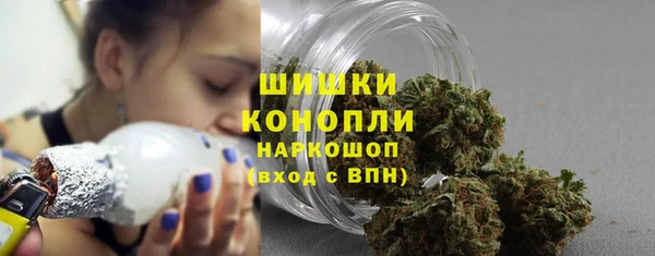 прущие грибы Осинники