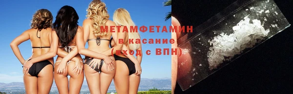 прущие грибы Осинники
