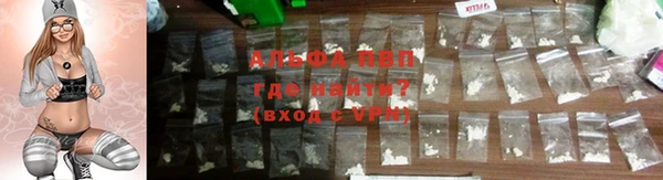 прущие грибы Осинники