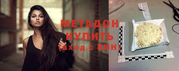 прущие грибы Осинники