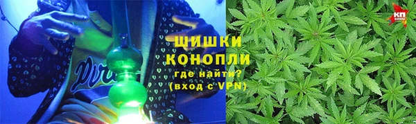 прущие грибы Верхний Тагил