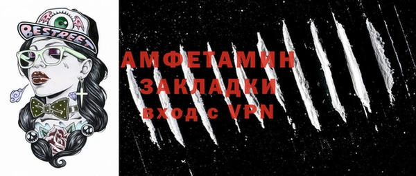 прущие грибы Осинники