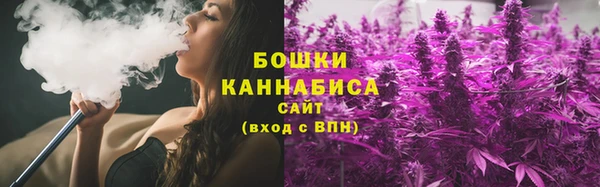 прущие грибы Осинники