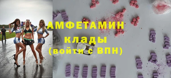 прущие грибы Осинники