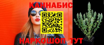 ALPHA PVP Кингисепп