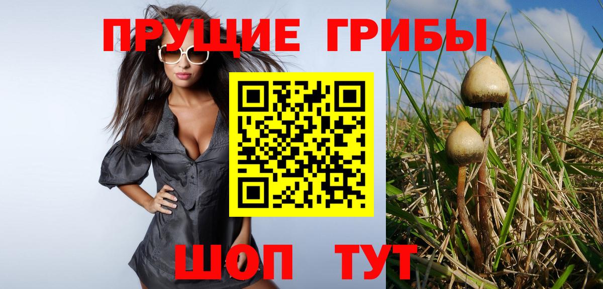 Псилоцибиновые грибы Psilocybe  Псилоцибиновые грибы ЛСД  Фролово 