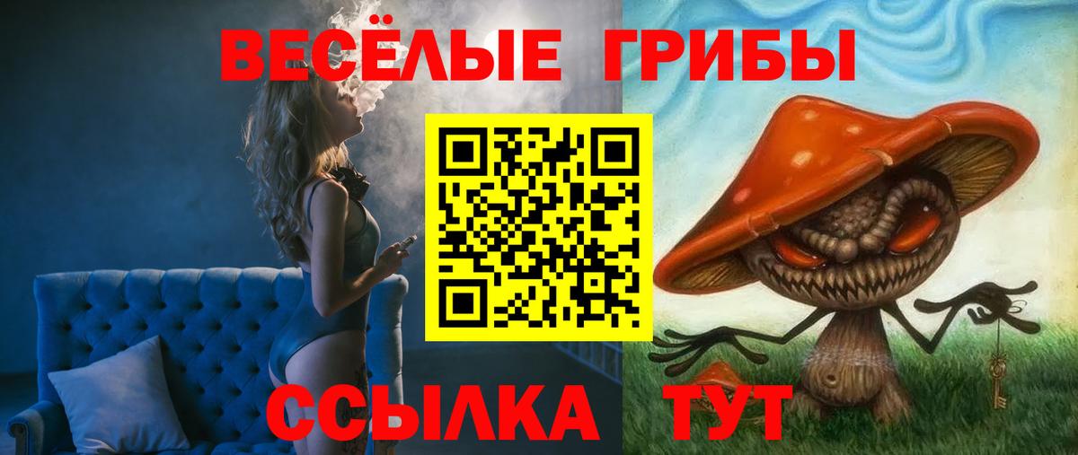 Псилоцибиновые грибы мицелий  Вход с VPN  Фролово 